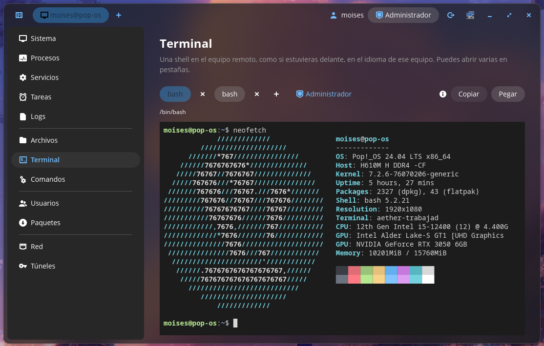 La terminal de Aether con dos pestañas abiertas.